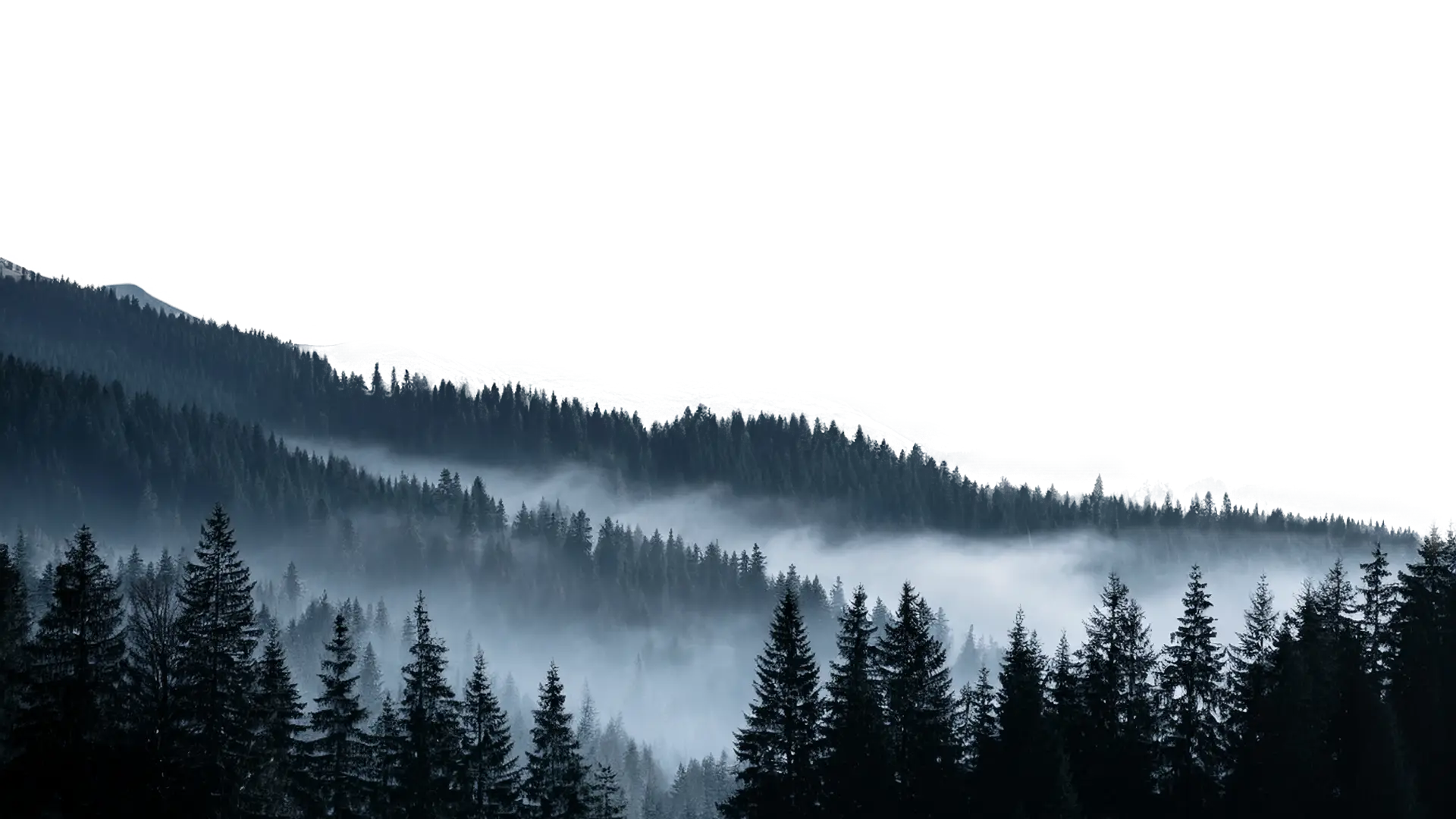 Mittelgrund
